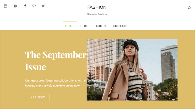 Shoppe WordPress theme
