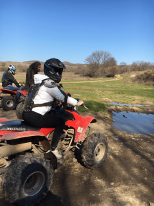 Employee Spotlight: Dayana – Our Support Firecracker