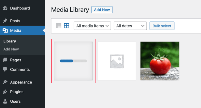 HEIC Image Automatically Converted to JPG HEIC Image Automatically Converted to JPG