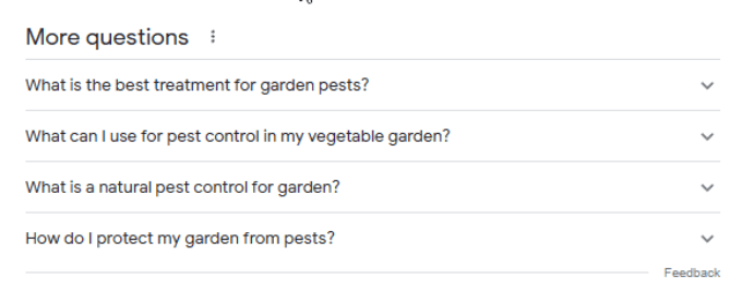 People also ask section People also ask section