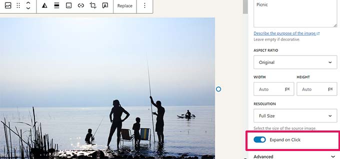 Expand on Click Expand on Click