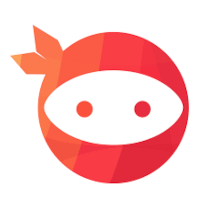 Ninja Team Ninja Team