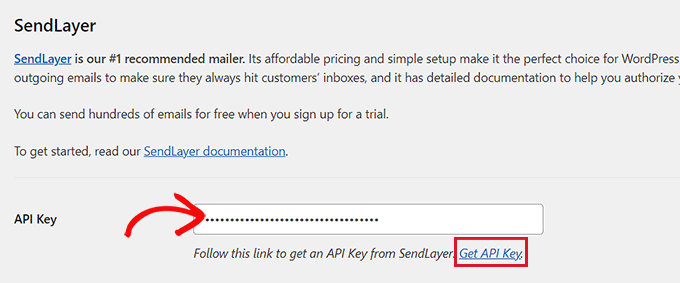 Add the SendLayer API key Add the SendLayer API key