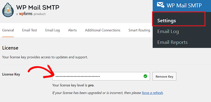 Type your WP Mail SMTP license key into the field Type your WP Mail SMTP license key into the field