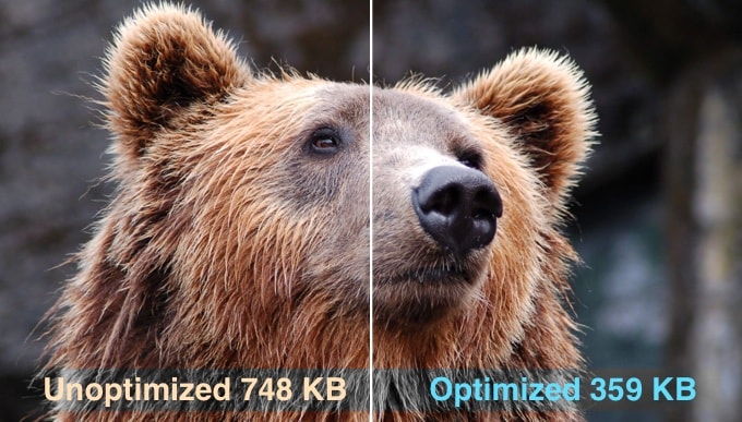 Optimized vs Unoptimized Images in WordPress Optimized vs Unoptimized Images in WordPress
