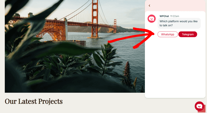 WPChat Telegram live chat widget WPChat Telegram live chat widget