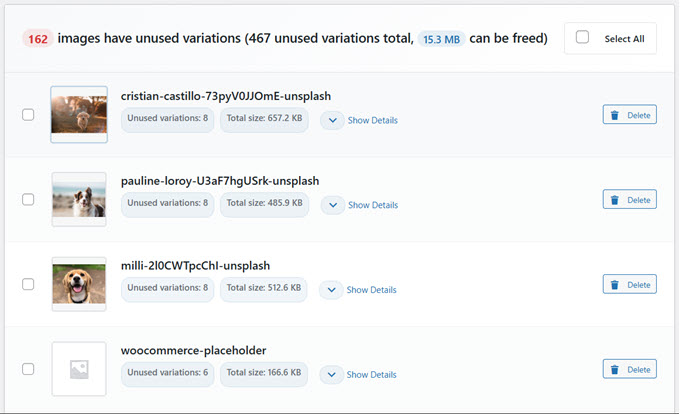 WP Media Cleanup scan finds unused images and variations on your website WP Media Cleanup scan finds unused images and variations on your website
