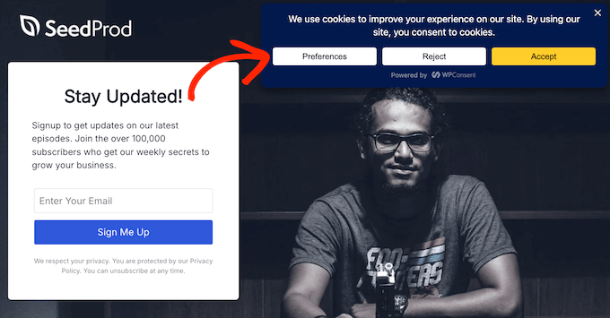 Accessing the cookie policy using WPConsent Accessing the cookie policy using WPConsent