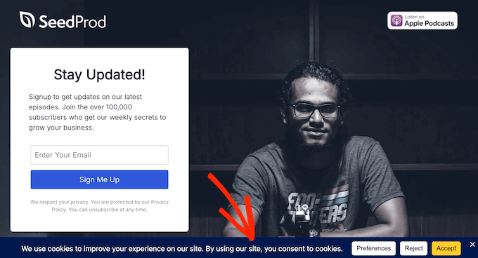 An example of a cookie policy created using WPConsent An example of a cookie policy created using WPConsent