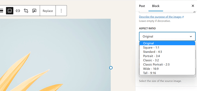 Image aspect ratio Image aspect ratio