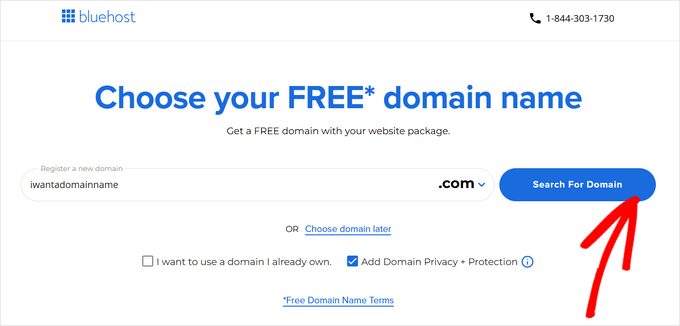 Register new domain name using Bluehost