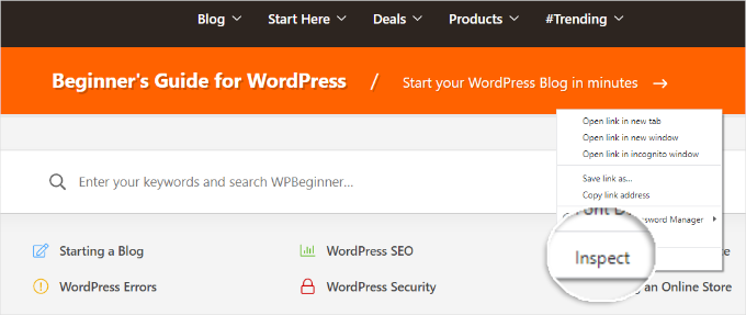 Open inspect element Open inspect element