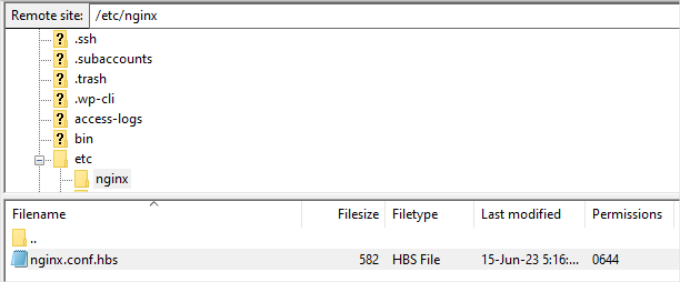 Access Nginx file Access Nginx file