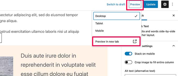Preview options for post and pages Preview options for post and pages