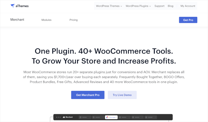 aThemes Merchant's website