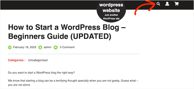 The built-in WordPress search bar The built-in WordPress search bar