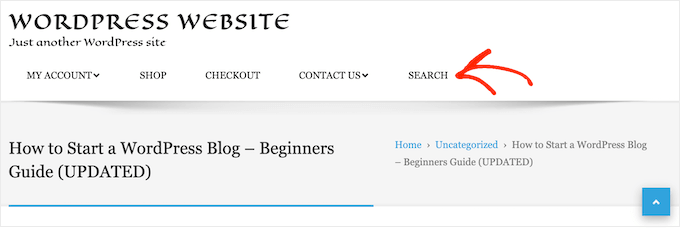 An example of a search bar, in a navigation menu An example of a search bar, in a navigation menu