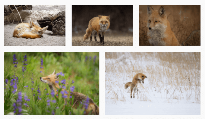Image gallery on a WordPress site Image gallery on a WordPress site