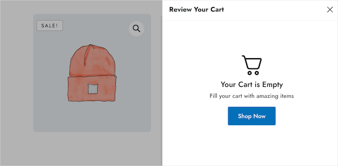 The 'Empty Cart' screen The 'Empty Cart' screen