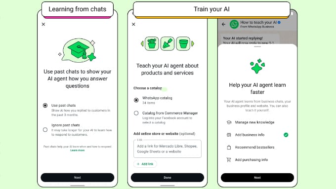Setting Up the WhatsApp Business App